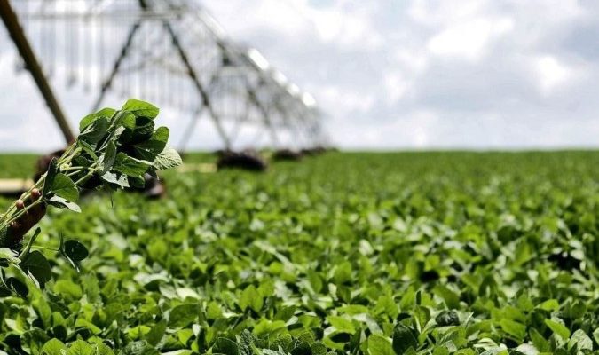 ABDI e Ministério da Agricultura lançam edital do Agro 4.0; entenda