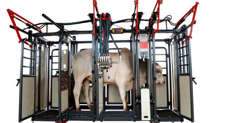 Expointer 2023: Com foco em soluções automatizadas e bem-estar animal na contenção bovina, Beckhauser participa da feira