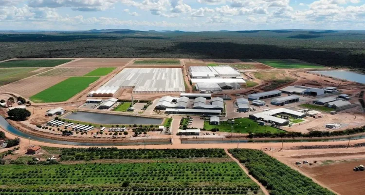 Conheça as empresas mais inovadoras do agronegócio no Brasil